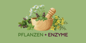Pflanzen + Enzyme